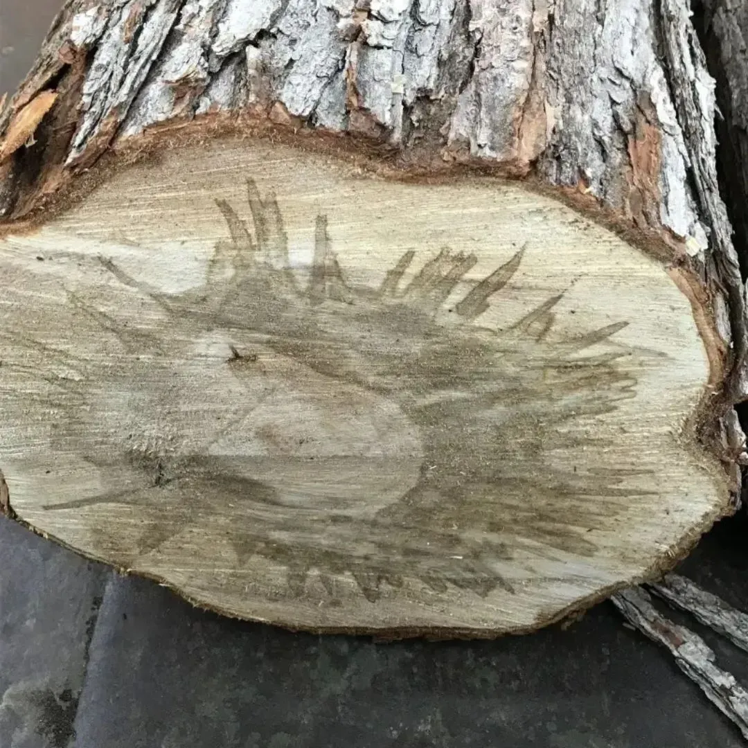 cut tree